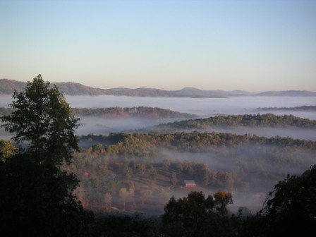 Polk County Tennessee Hunting Land For Lease in Turtletown TN 109 Acre Tract