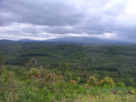 Polk County Tennessee Hunting Land For Lease in Ocoee TN 713 Acre Tract