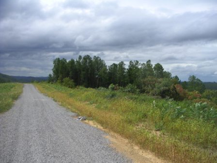 Polk County Tennessee Land For Sale in Ocoee TN 713 Acre Tract