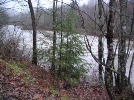 River Front Caney Fork For Sale 3/4 mile