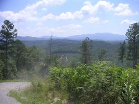 Hamilton County  Tennessee - Click To View Property - Tennessee Hunting Land For Lease