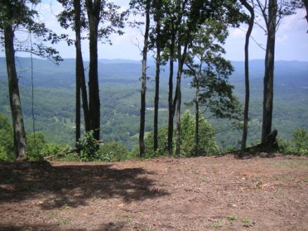 Polk County Tennessee Land For Sale in Turtletown TN 109 Acre Tract